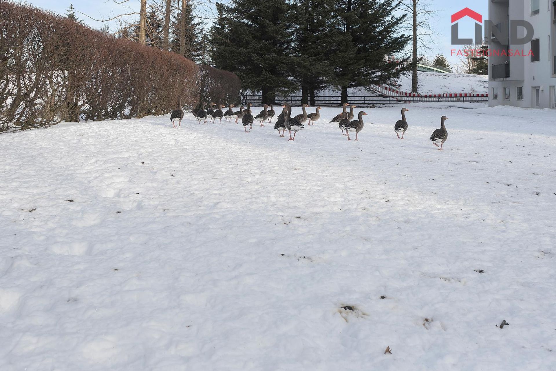 Hvassaleiti 30, 103 Reykjavík