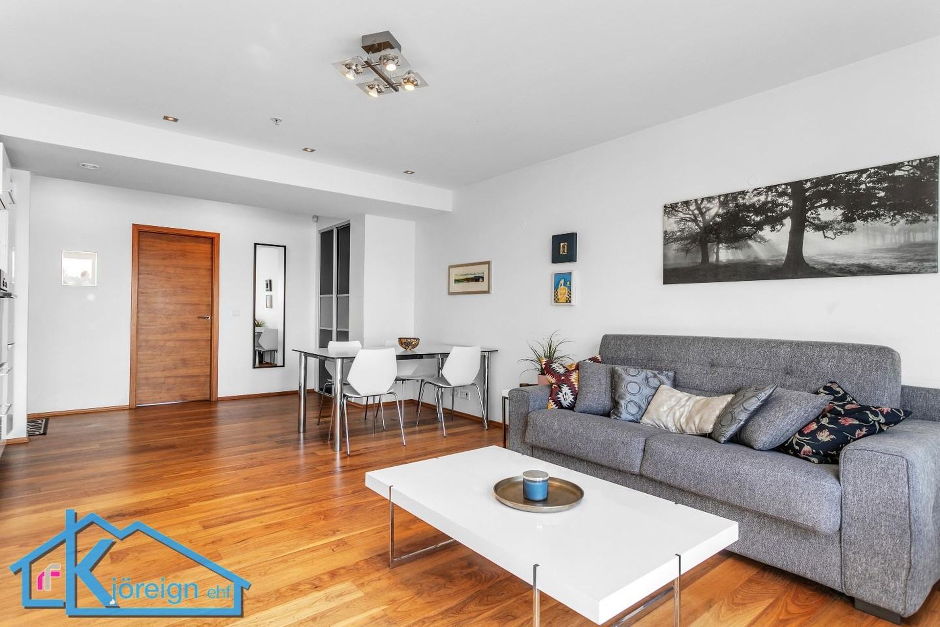 Laugavegur 103, 105 Reykjavík