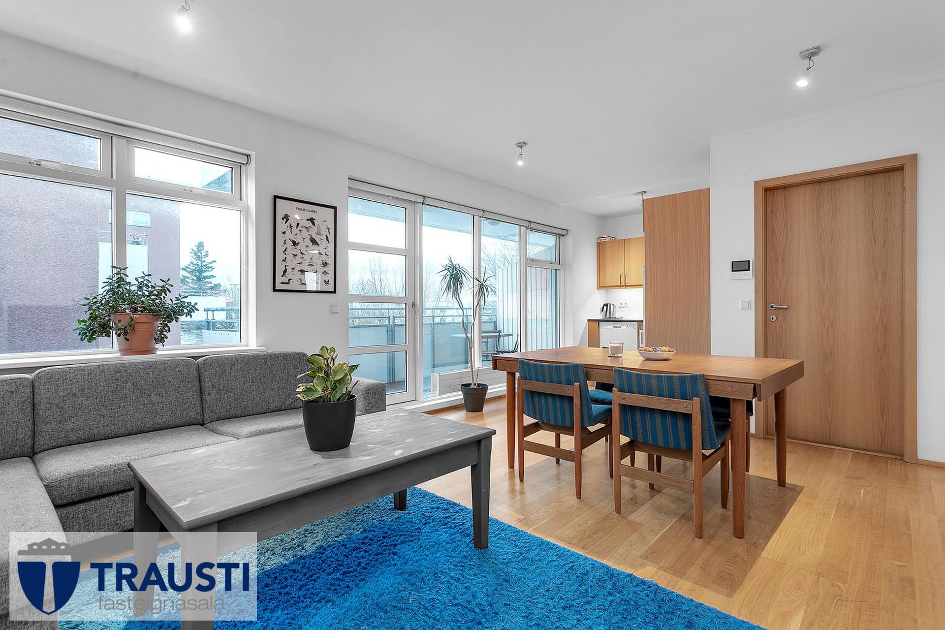 Holtsgata 3, 101 Reykjavík