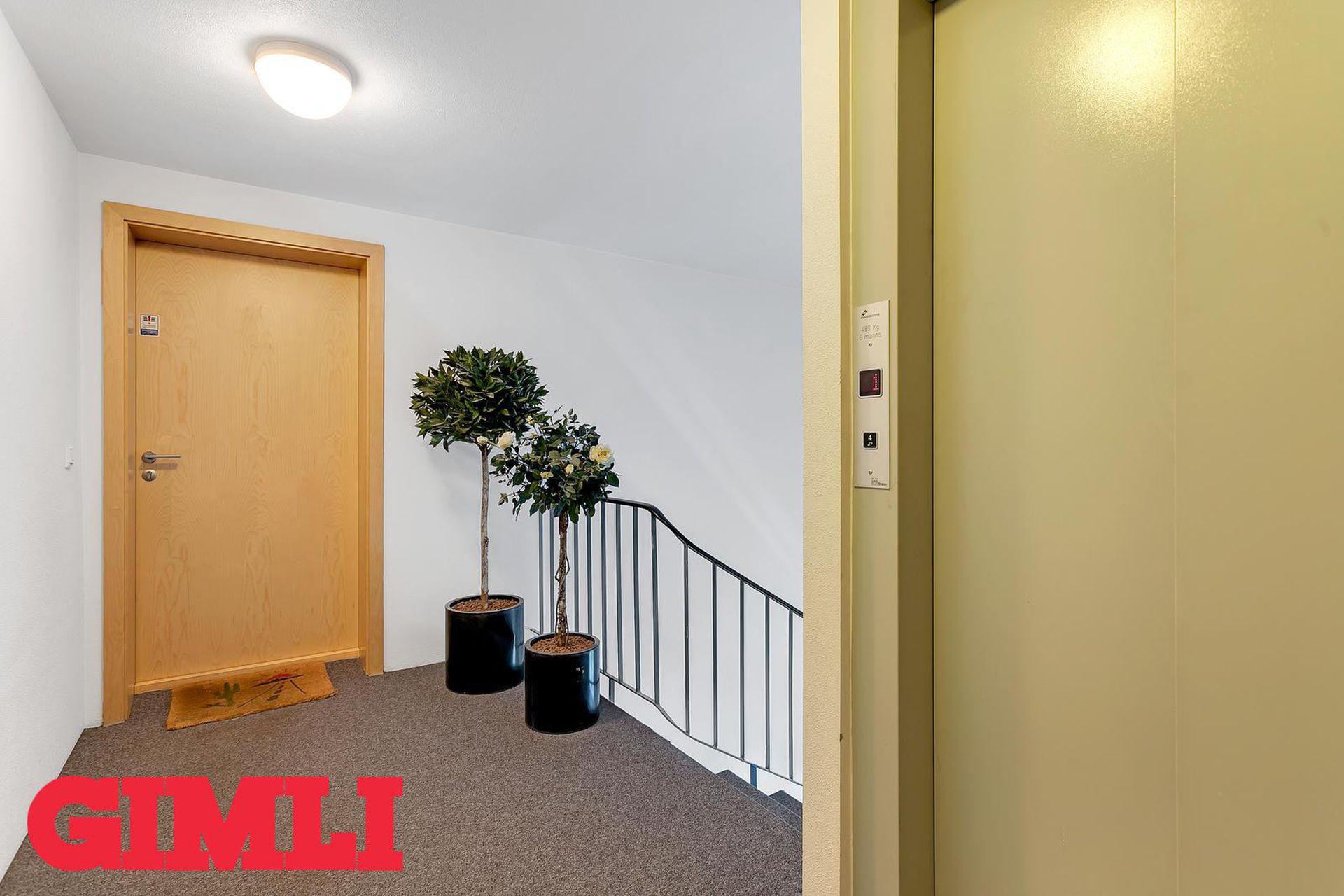 Bergstaðastræti 13, 101 Reykjavík