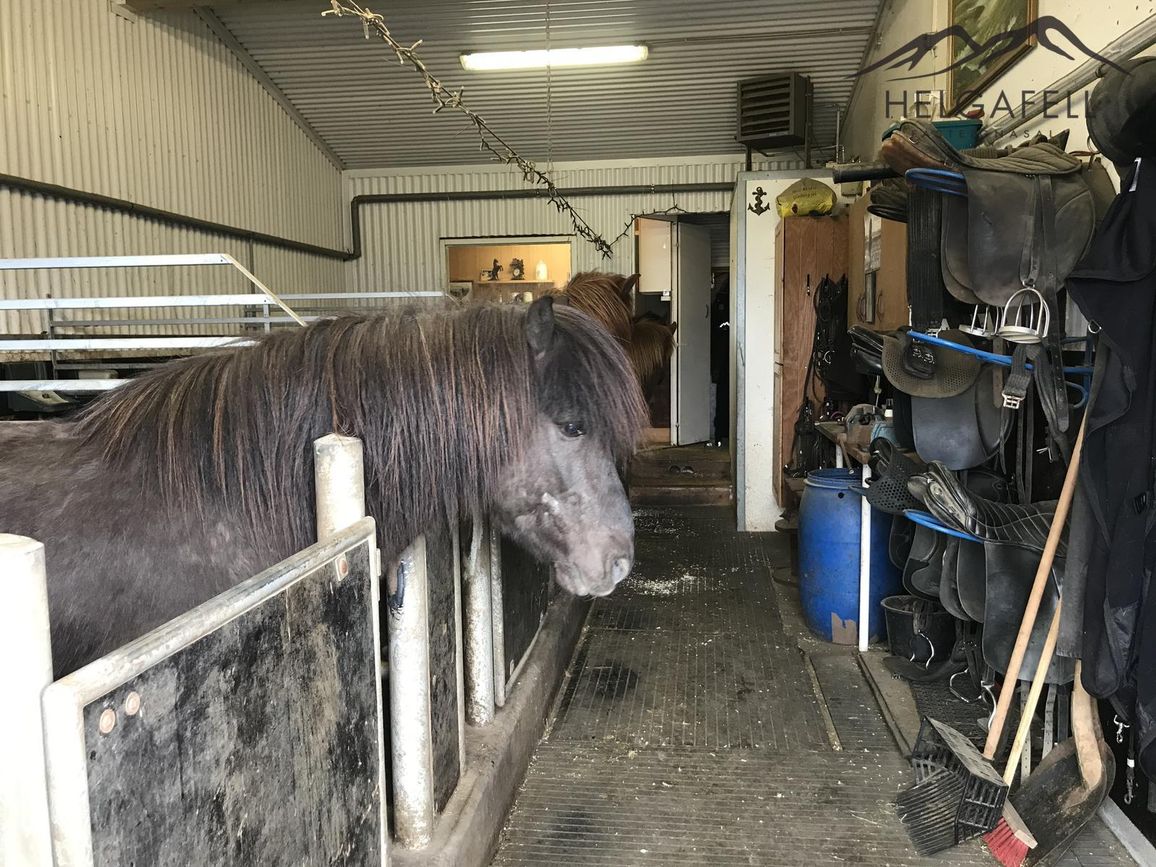 Heimsendi 5, 203 Kópavogur