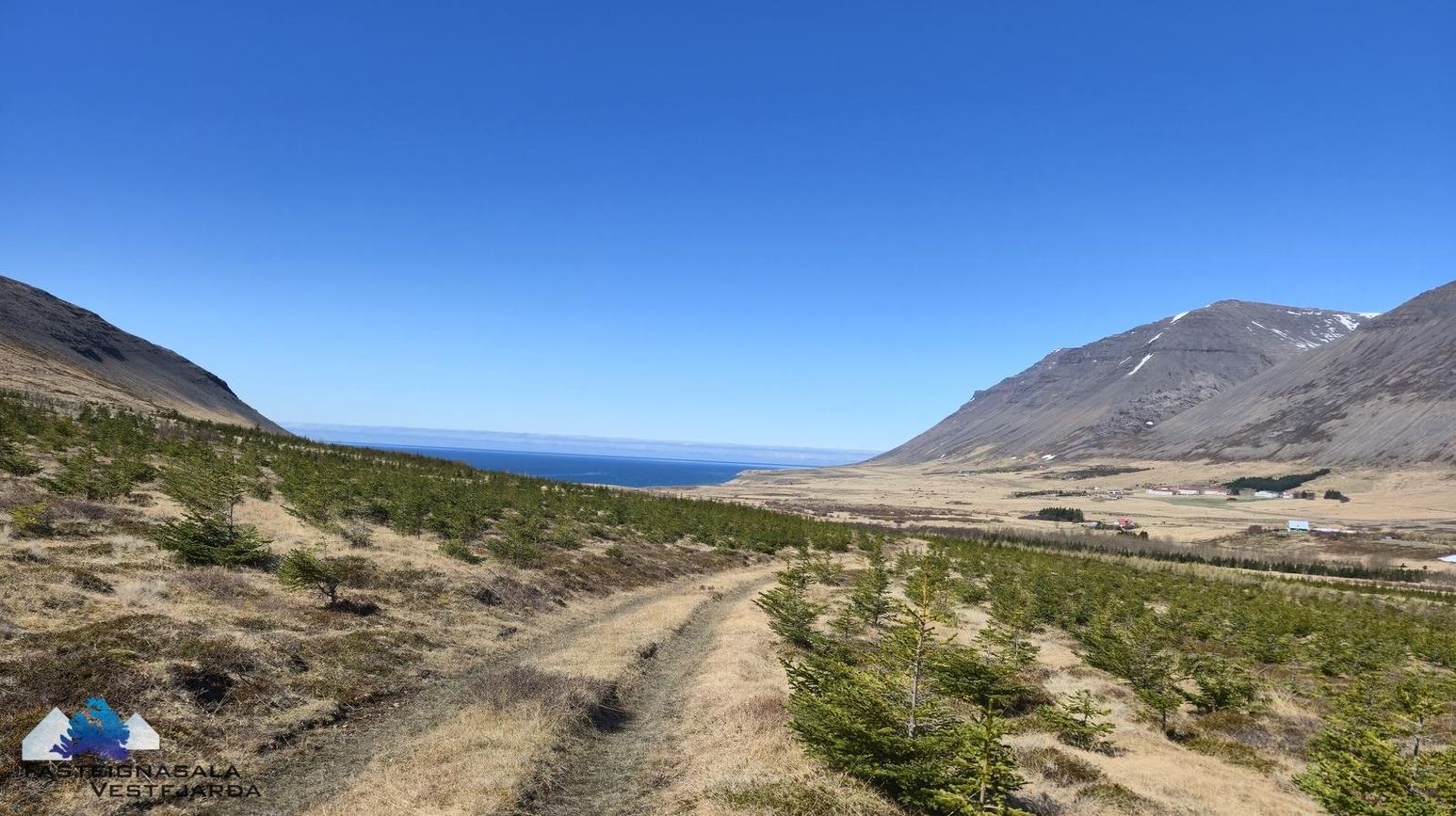 Fell - 0101, 471 Ísafjarðarbær