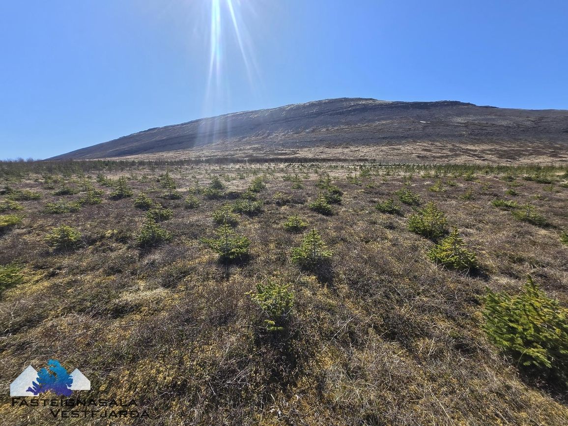 Fell - 0101, 471 Ísafjarðarbær