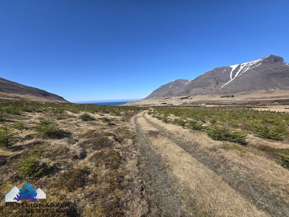 Fell - 0101, 471 Ísafjarðarbær