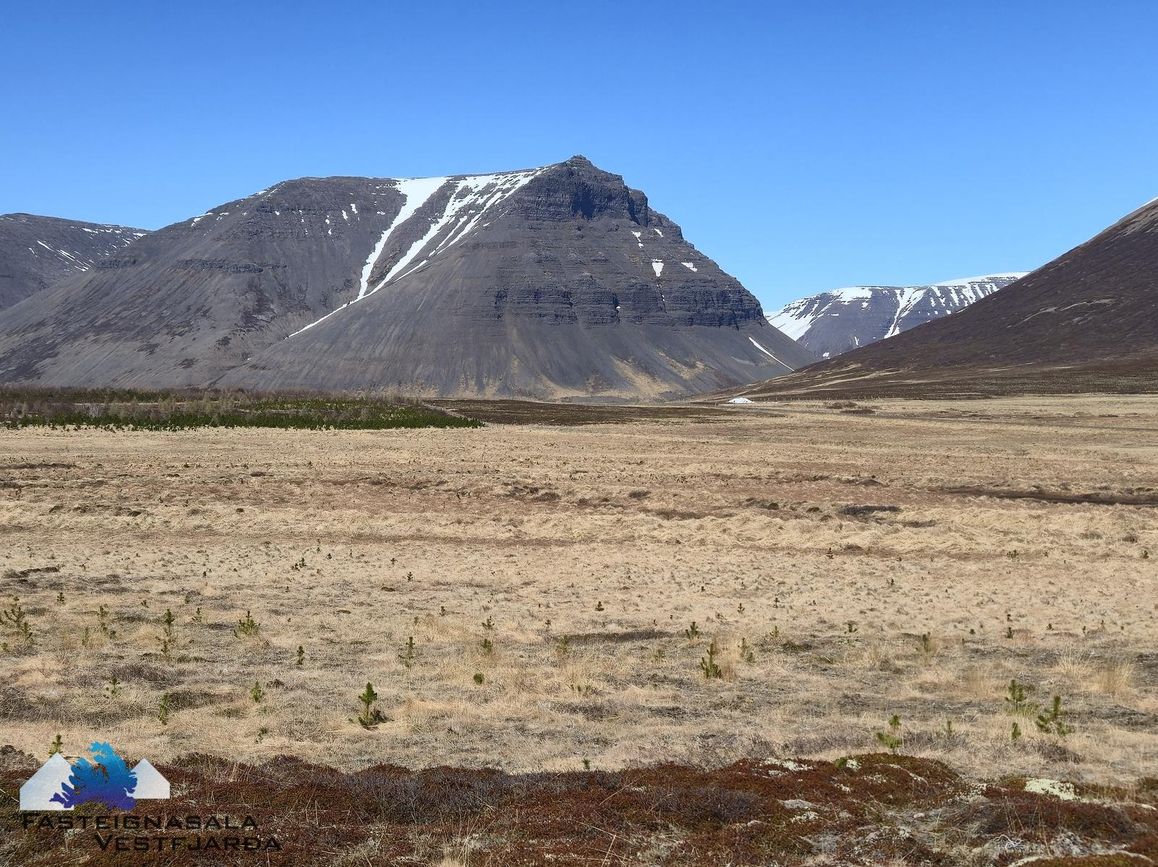 Fell - 0101, 471 Ísafjarðarbær