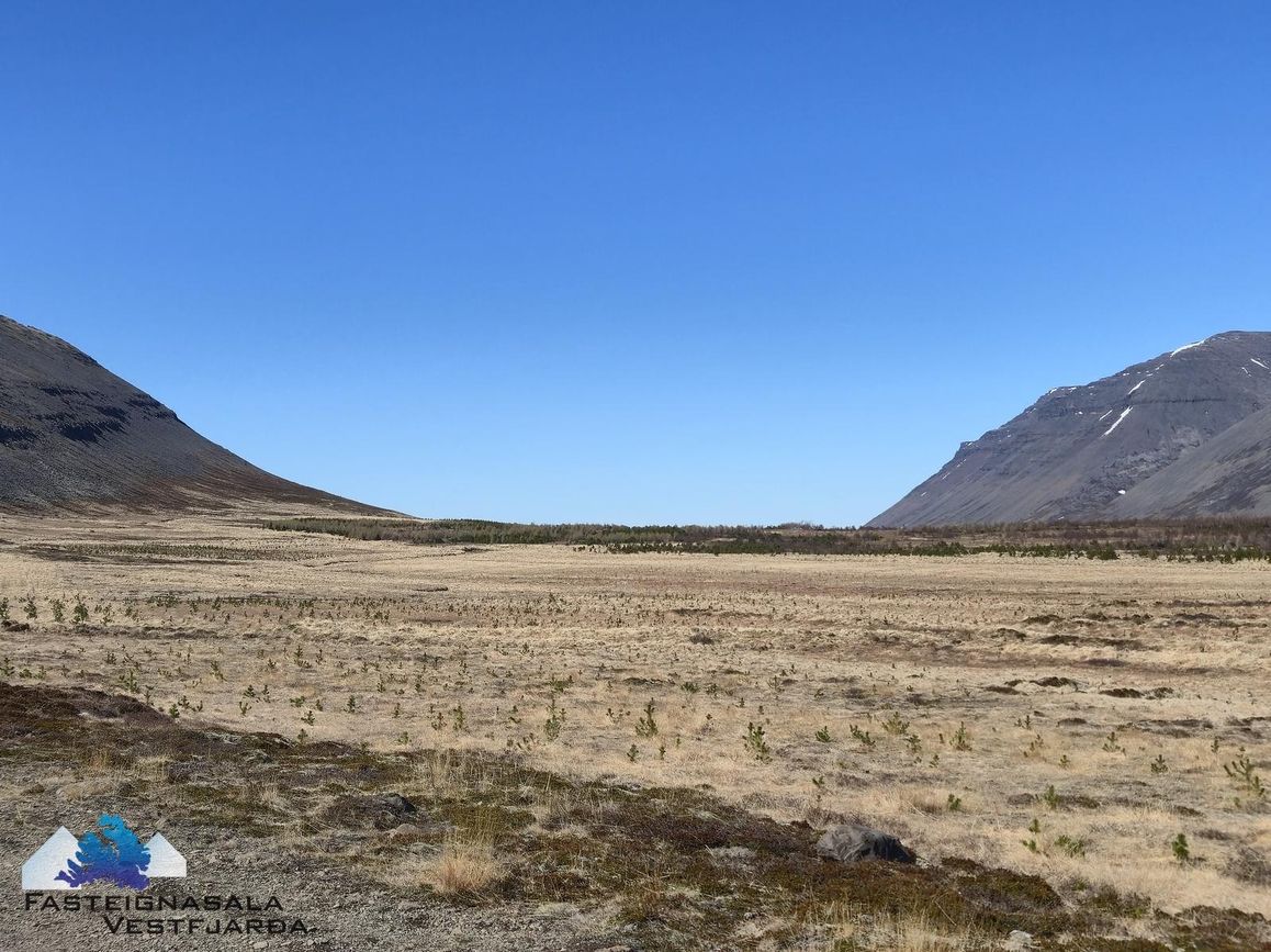 Fell - 0101, 471 Ísafjarðarbær