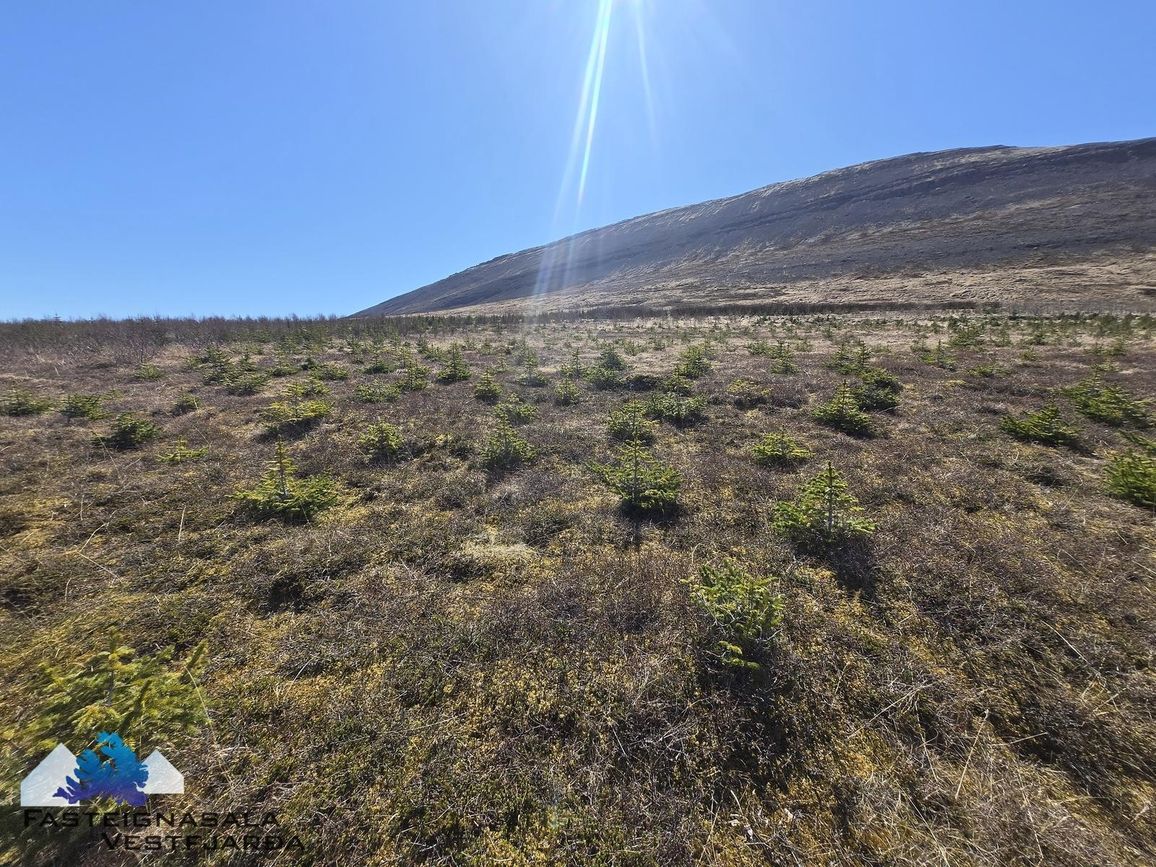 Fell - 0101, 471 Ísafjarðarbær