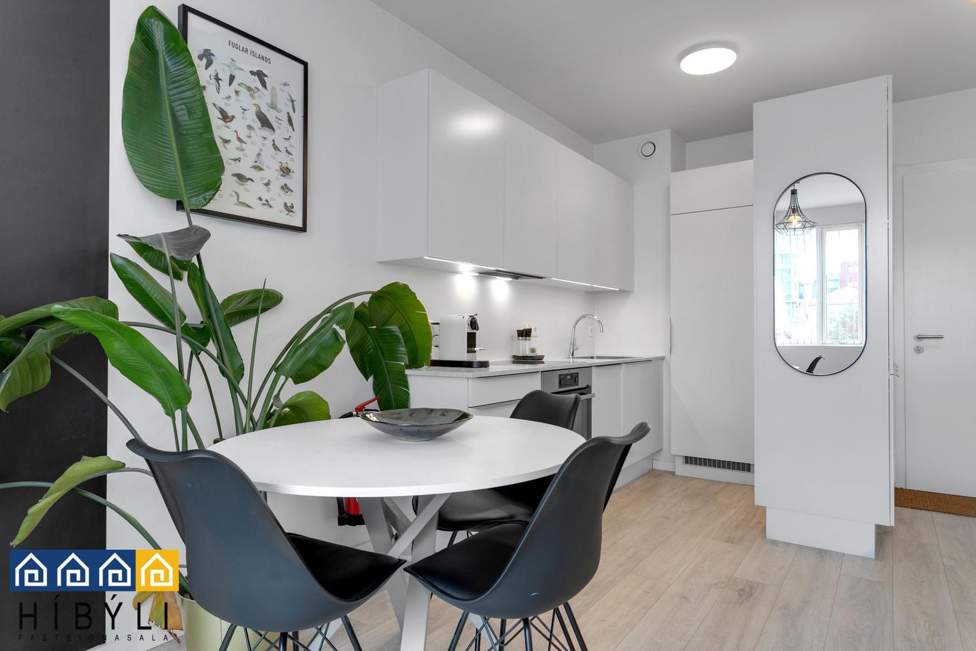 Hverfisgata 44 - 0202, 101 Reykjavík