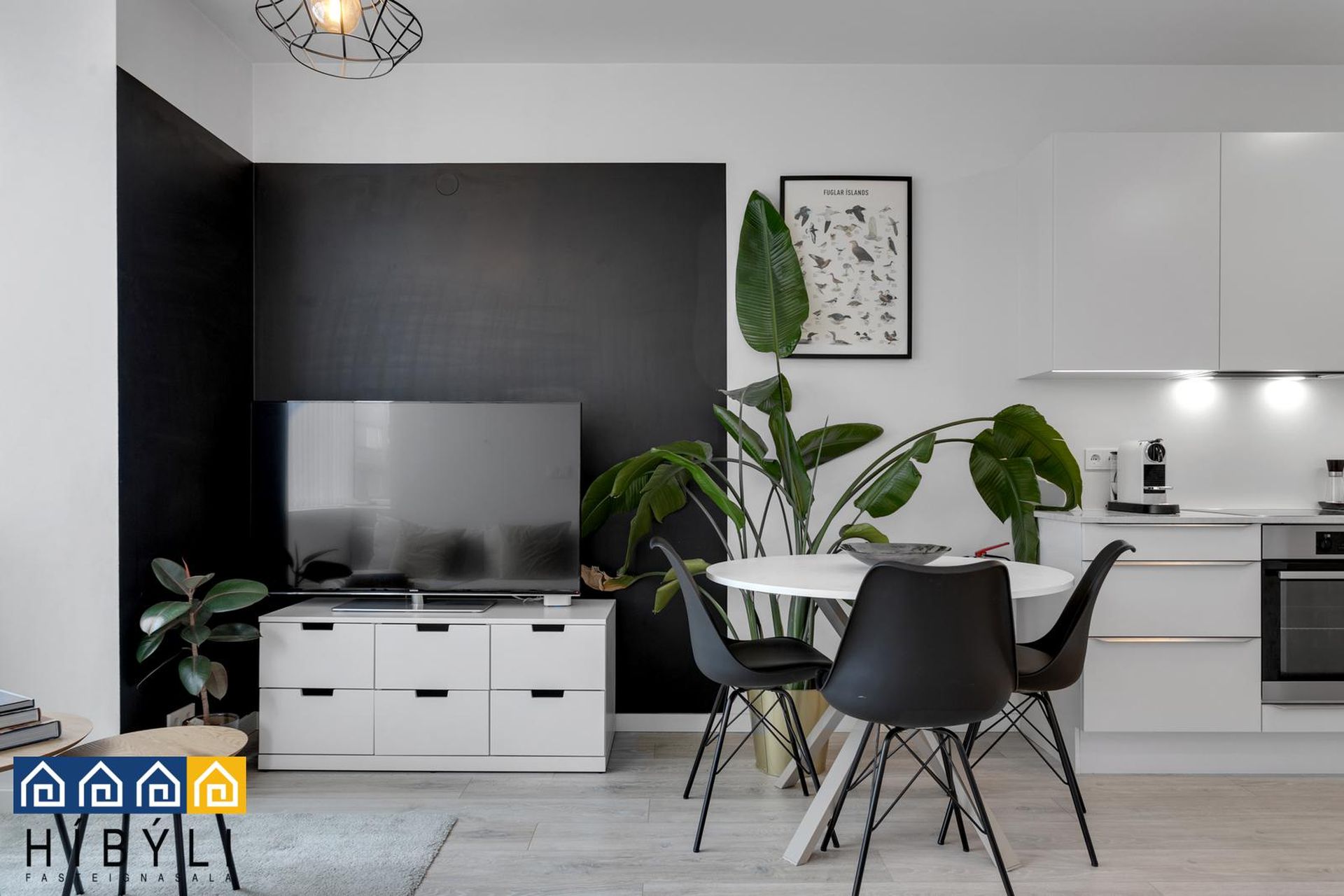 Hverfisgata 44 - 0202, 101 Reykjavík