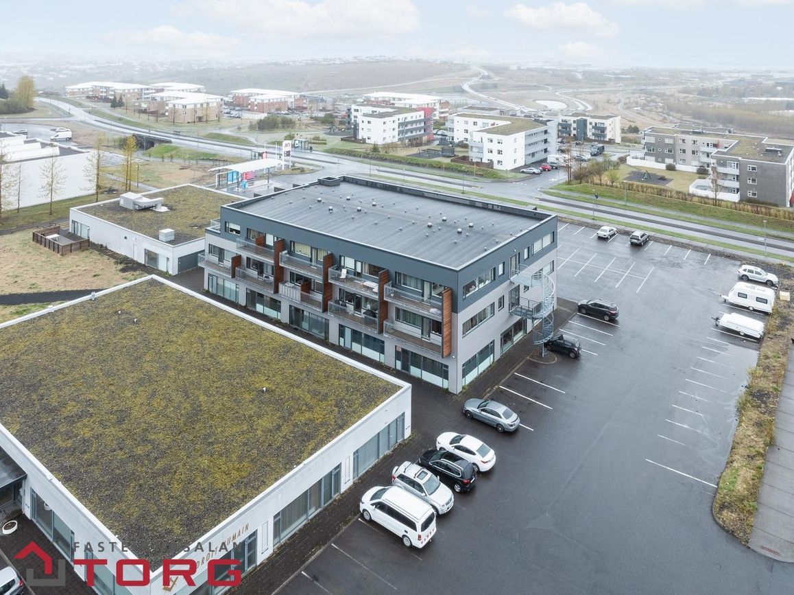 Kirkjustétt 4, 113 Reykjavík