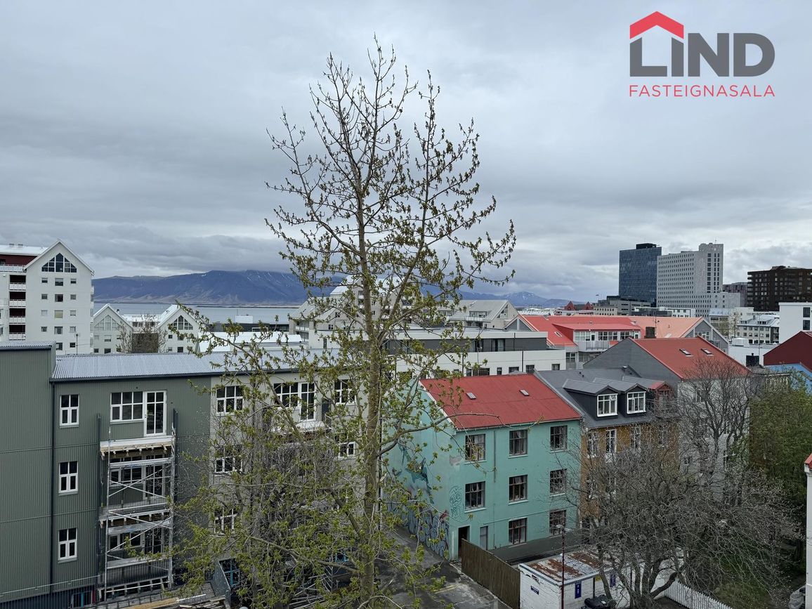 Laugavegur 85, 101 Reykjavík