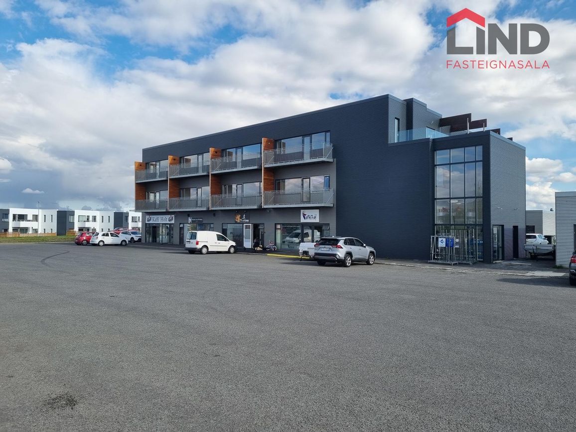 Kirkjustétt 4, 113 Reykjavík