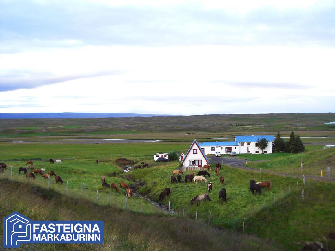 Brekkulækur III, 531 Húnaþing vestra
