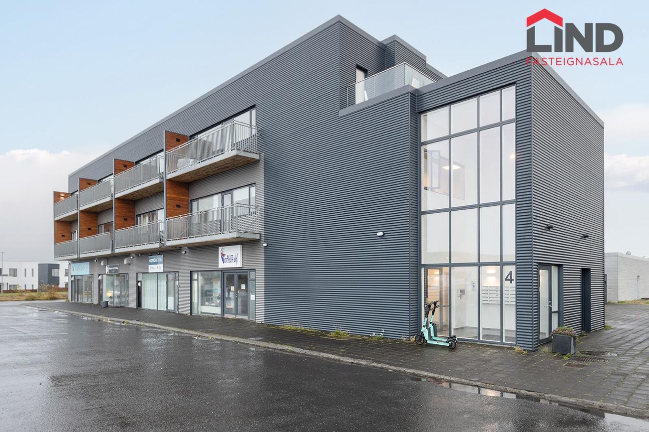 Kirkjustétt 4, 113 Reykjavík
