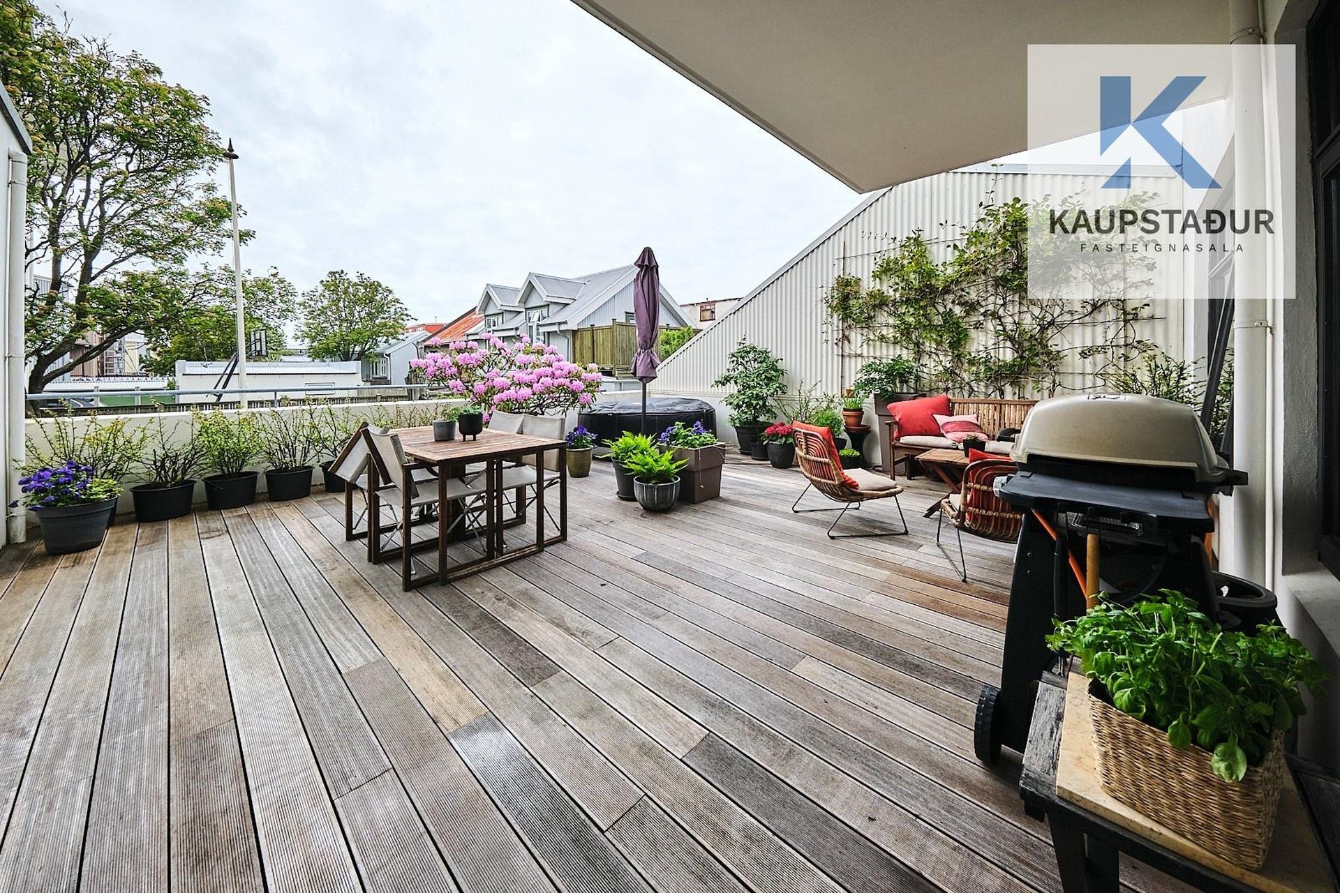 Njálsgata 19, 101 Reykjavík